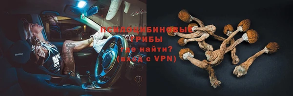 a pvp Верея