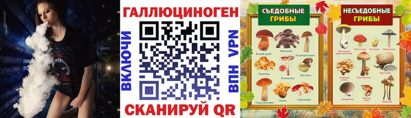 Купить где  Лодейное Поле  Галлюциногенные грибы GOLDEN TEACHER 