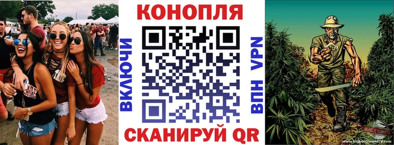 Шишки марихуана Amnesia  Купить где  Лодейное Поле 